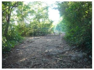 Terreno en Venta en Cancún Centro