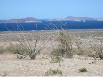 TERRENO EN VENTA EN ENSENADA