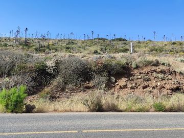Se vende Terreno camino a la Bufadora - (3)