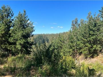 Terreno El Recodo: San Pedro de la Paz