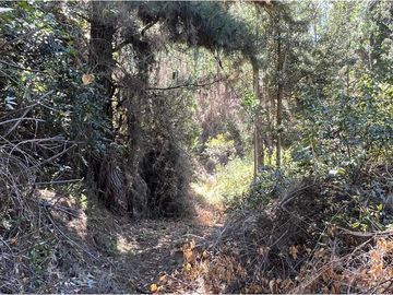 Terreno El Recodo: San Pedro de la Paz