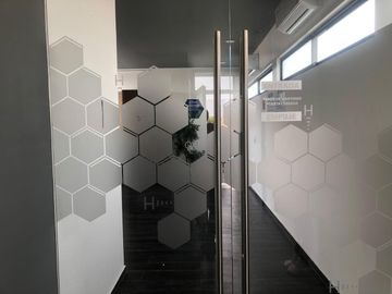 Todo un piso en renta en el centro de Oaxaca - (3)