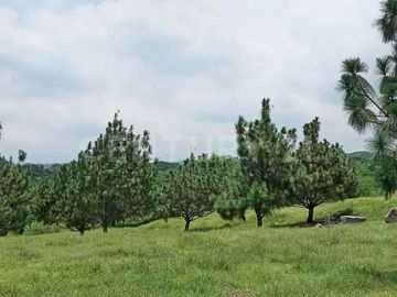 Terreno Habitacion en venta en Fracc. San Rafael Cuauhtémoc, Col.