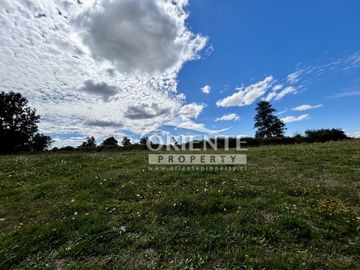 KM 12,5 OSORNO A PUERTO OCTAY