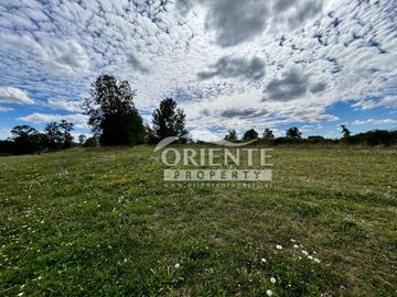 KM 12,5 OSORNO A PUERTO OCTAY