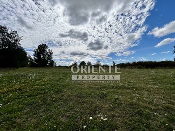KM 12,5 OSORNO A PUERTO OCTAY