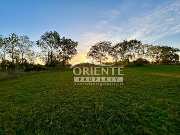 CAMINO DE OSORNO A PUERTO OCTAY KM 12