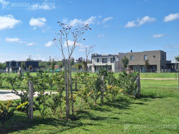 Terreno en El Olivar