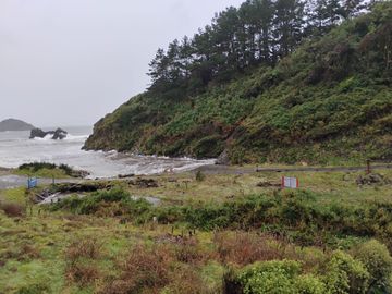 Se vende hermosa parcela en Puñihuil, Ancud