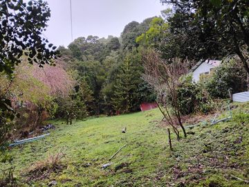 Se vende hermosa parcela en Puñihuil, Ancud