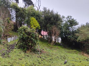 Se vende hermosa parcela en Puñihuil, Ancud