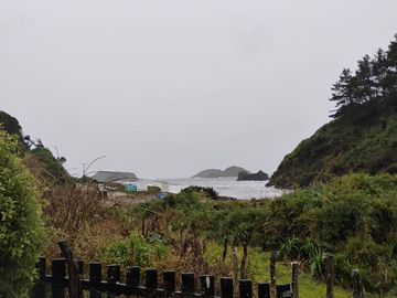 Se vende hermosa parcela en Puñihuil, Ancud
