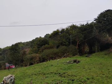 Se vende hermosa parcela en Puñihuil, Ancud