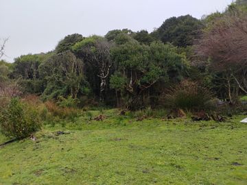 Se vende hermosa parcela en Puñihuil, Ancud