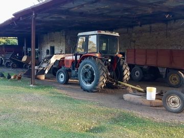 Alquiler de instalaciones para FEEDLOT en Cruz Alta, Cordoba