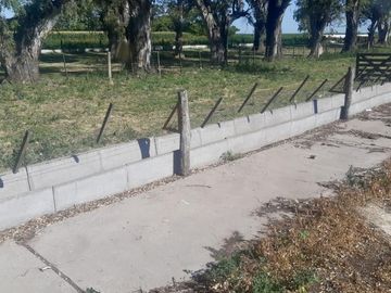 Alquiler de instalaciones para FEEDLOT en Cruz Alta, Cordoba