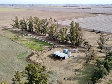 Alquiler de instalaciones para FEEDLOT en Cruz Alta, Cordoba