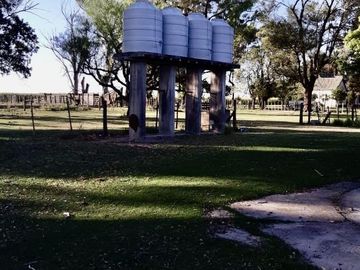 Alquiler de instalaciones para FEEDLOT en Cruz Alta, Cordoba