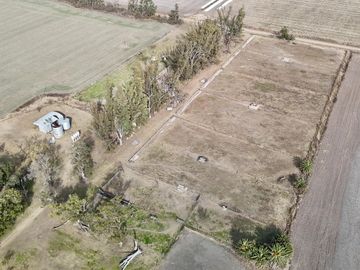 Alquiler de instalaciones para FEEDLOT en Cruz Alta, Cordoba