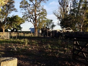 Alquiler de instalaciones para FEEDLOT en Cruz Alta, Cordoba
