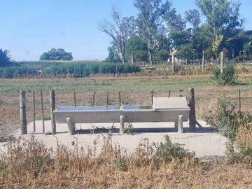 Alquiler de instalaciones para FEEDLOT en Cruz Alta, Cordoba