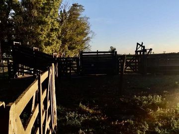Alquiler de instalaciones para FEEDLOT en Cruz Alta, Cordoba