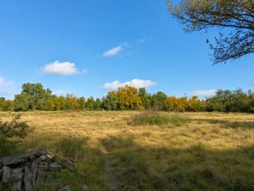 VENTA - Casa quinta en gran lote Gral. Cerri