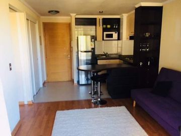 Venta detpo calle Álvarez viña del mar 1 D 1B 1 Estacionamiento