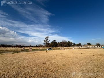 Terreno en El Olivar