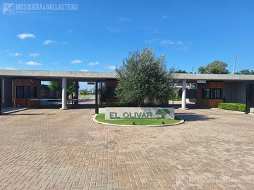 Terreno en El Olivar