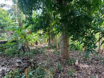 Se Vende Lote en San Bernando del Viento