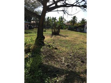 TERRENO / CORONADO / 800 M2 /  AREA RESIDENCIAL / LOTE PLANO