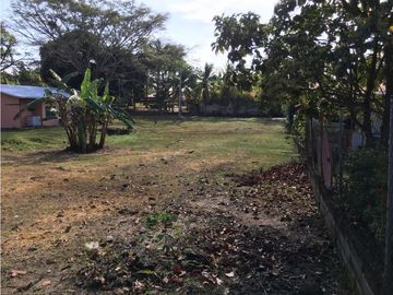 TERRENO / CORONADO / 800 M2 /  AREA RESIDENCIAL / LOTE PLANO