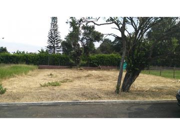 Se vende lote en Potrerito Jamundí (JPG) CW:9307653