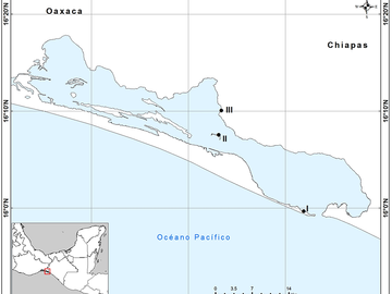 Reserva territorial costera en venta frente al Océano Pacífico,  Oaxaca