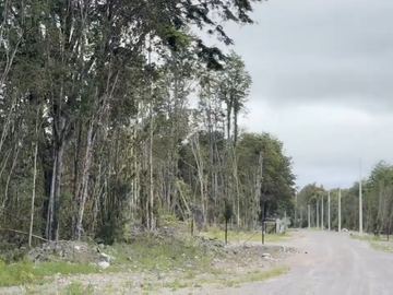 PARCELA CON BOSQUE NATIVO EN RÍO PESCADO
