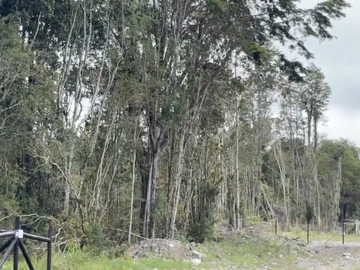 PARCELA CON BOSQUE NATIVO EN RÍO PESCADO