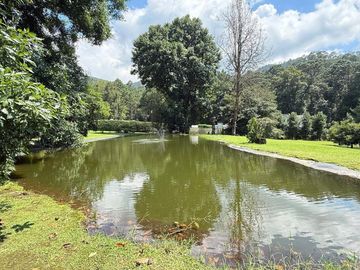 CASA EN RENTA CON BOSQUE, JARDIN Y LAGO PROPIO