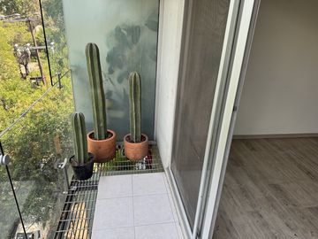 Departamento en renta   Hipodromo  Condesa