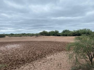 Campo en venta - Cuadro Nacional -San Rafael