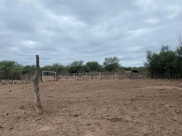 Campo en venta - Cuadro Nacional -San Rafael