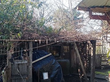 Parcela en venta  en PANGUIPULLI