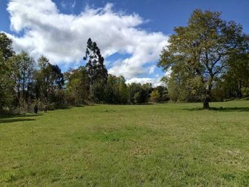 Parcela en venta  en PANGUIPULLI