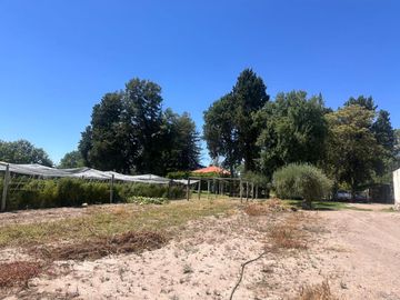 VENTA DE FINCA 15 HA EN REDUCCION C/CASCO HISTORIC