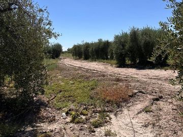 VENTA DE FINCA 15 HA EN REDUCCION C/CASCO HISTORIC