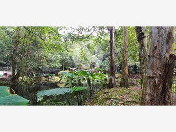 Terreno en venta en El Texme, Tenango de Doria, Hidalgo