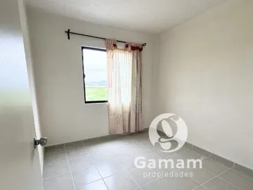 Casa en renta en Los Viñedos, Zempoala, Hidalgo