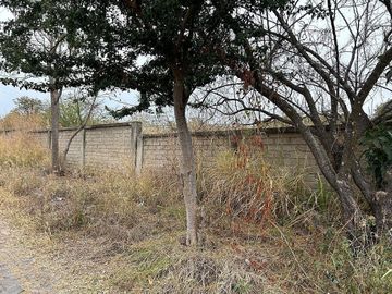 Terreno en Venta, Tesistán, 7,984 m2