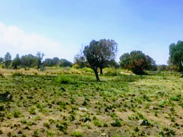 Venta de Terreno en Ciudad  Industrial Xicohténcatl, Tlaxcala