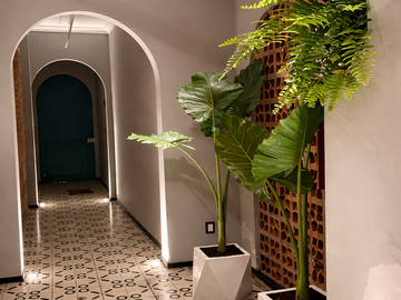 VENTA DE DEPARTAMENTO EN AGUASCALIENTES ROMA SUR